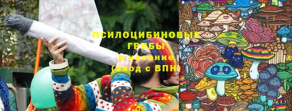 твердый Медвежьегорск