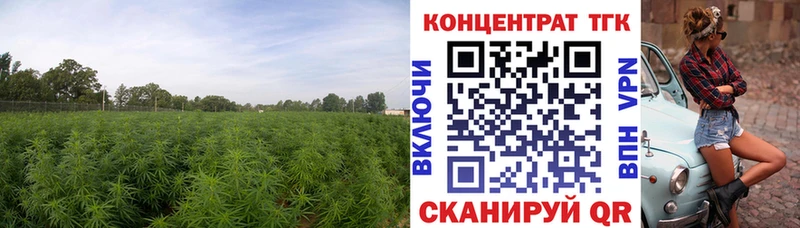 Дистиллят ТГК вейп с тгк  Купить где  Николаевск-на-Амуре 