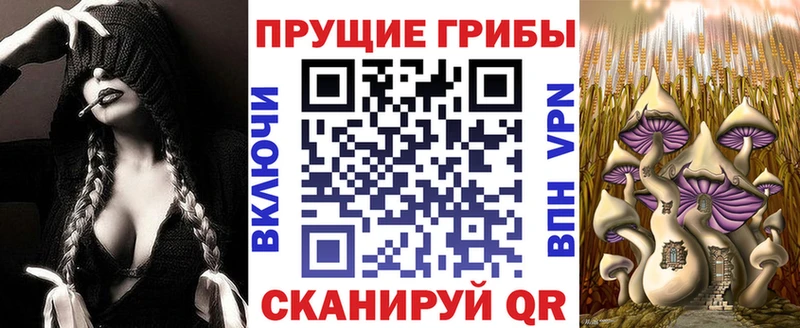 Купить где  Николаевск-на-Амуре  Галлюциногенные грибы мухоморы 
